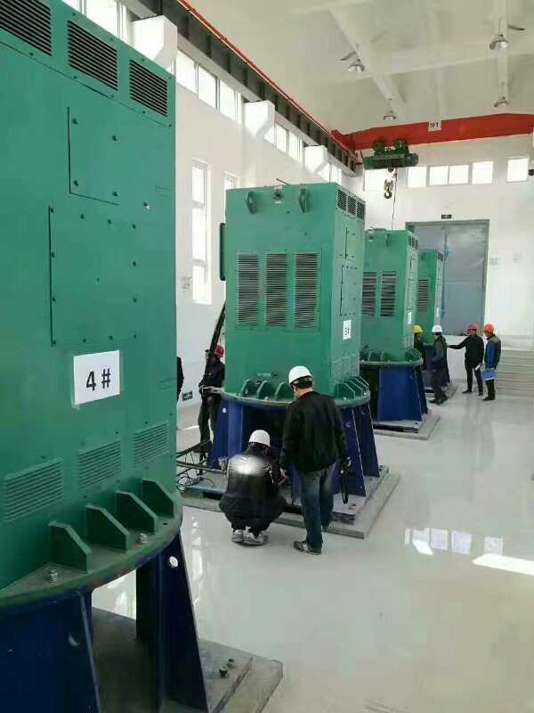 黄州某污水处理厂使用我厂的立式高压电机安装现场